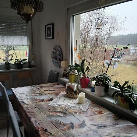 Willa Maja Guhrow Zewnętrze zdjęcie