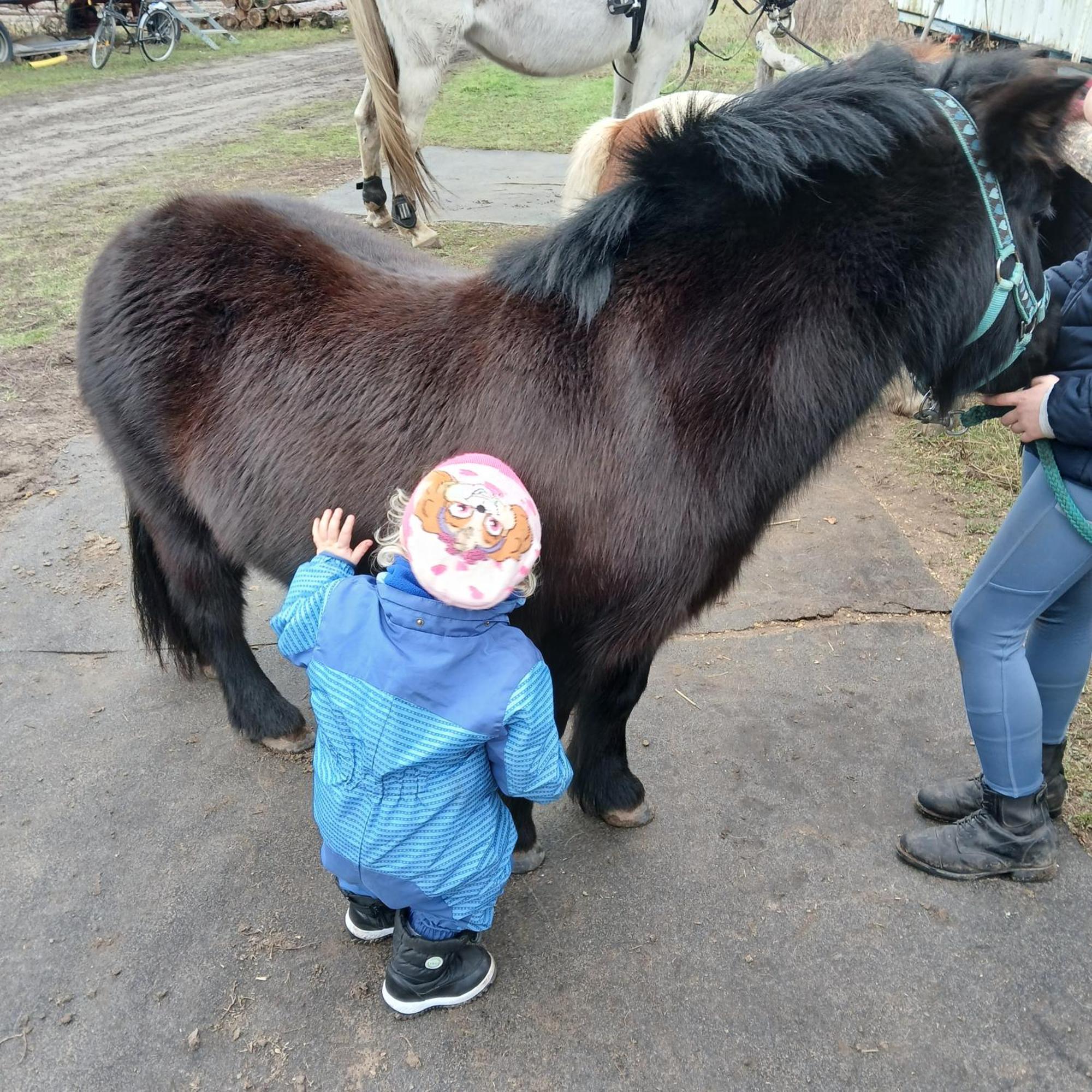 Willa Maja Guhrow Zewnętrze zdjęcie