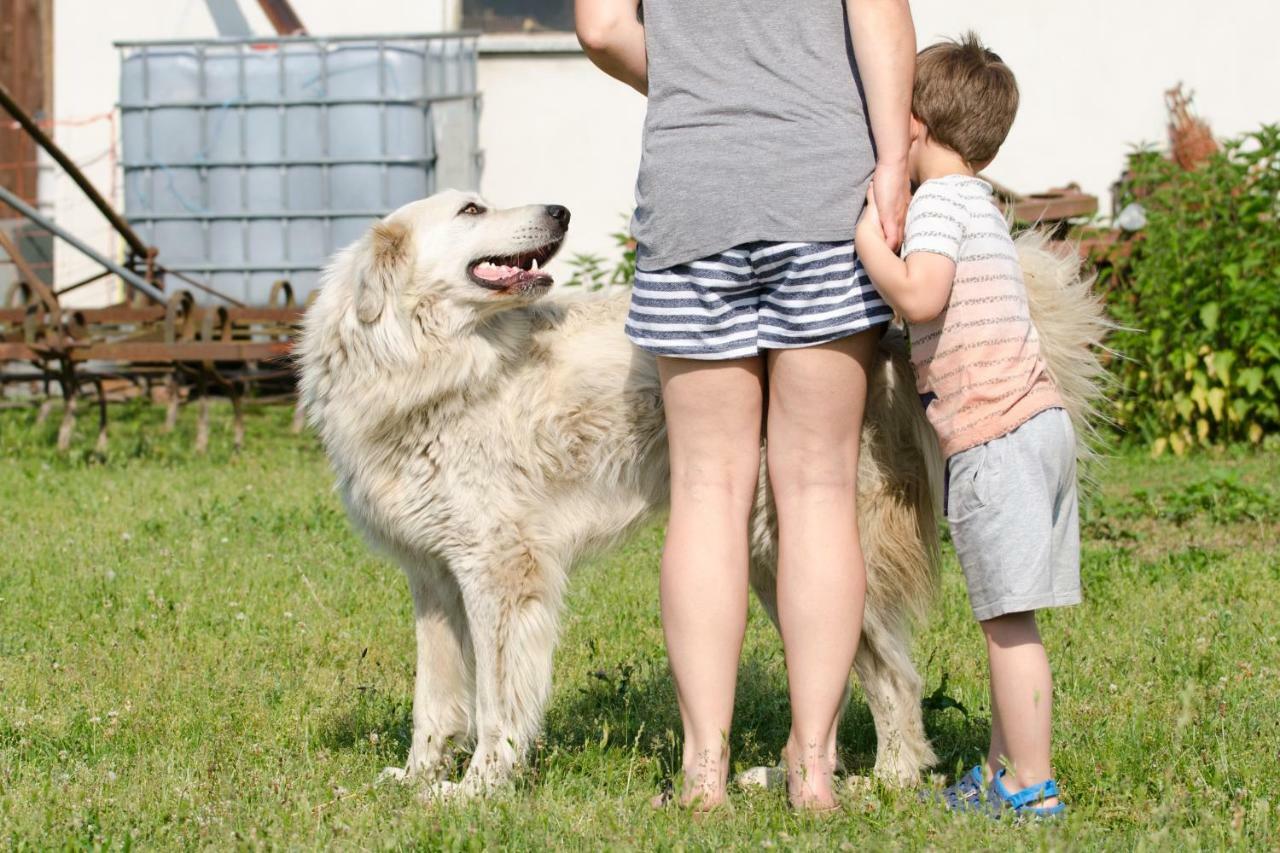 Willa Maja Guhrow Zewnętrze zdjęcie